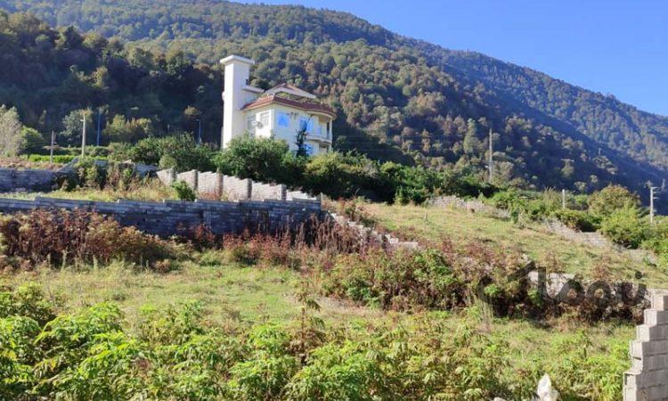 زمین با ویو جنگل و دریا نزدیک نمک آبرود| زمین و باغ| چالوس، هچیرود| نیوملک