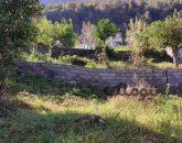 زمین با ویو جنگل و دریا نزدیک نمک آبرود| زمین و باغ| چالوس، هچیرود| نیوملک