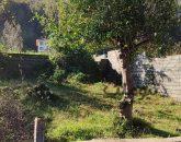 زمین با ویو جنگل و دریا نزدیک نمک آبرود| زمین و باغ| چالوس، هچیرود| نیوملک