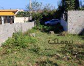 زمین با ویو جنگل و دریا نزدیک نمک آبرود| زمین و باغ| چالوس، هچیرود| نیوملک