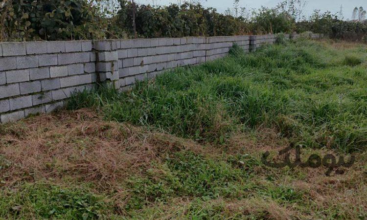 زمین الحاق به بافت ارزان| زمین و باغ| چالوس| نیوملک