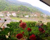 خانه ویلایی جنگلی در دلگشا هچیرود|خانه و ویلا|چالوس، هچیرود|نیوملک