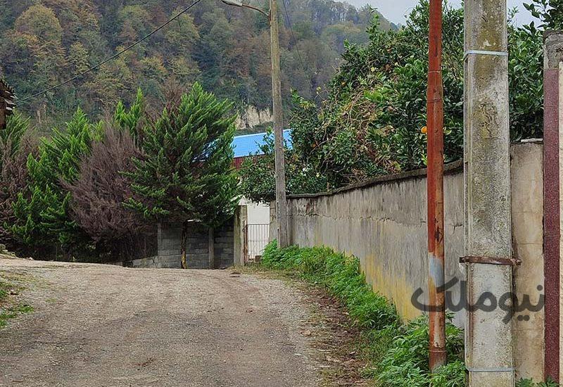 زمین مسکونی 2 نبش جنگلی در یالبندان|زمین و باغ|کلارآباد، یالبندان|نیوملک