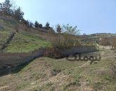 زمین در کلاردشت با منظره دریاچه ولشت|زمین و باغ|کلاردشت، چلاجور|نیوملک