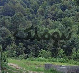 300 متر زمین پلاک 1 جنگل در کوهپایه یالبندان| زمین و باغ| کلارآباد، یالبندان| نیوملک