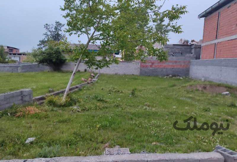 زمین داخل بافت 250 متر در علی آباد چالوس| زمین و باغ| چالوس، علی آباد| نیوملک