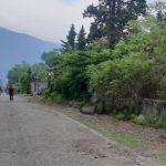 زمین 1000 متری در نمک آبرود شهرک ساحلی سهند| زمین و باغ| چالوس، نمک آبرود| نیوملک