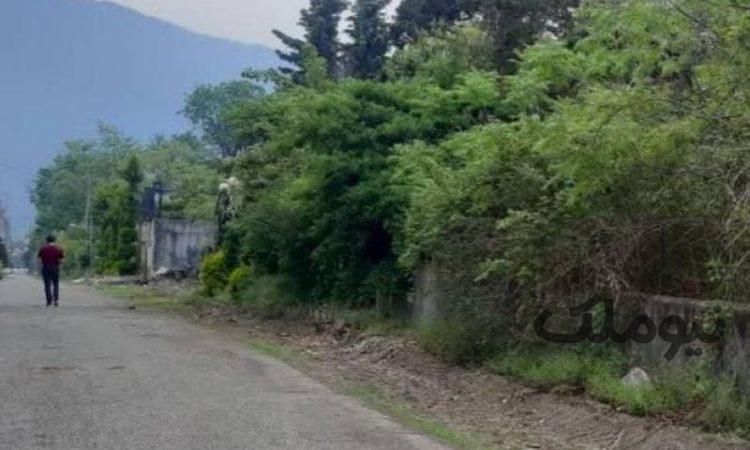 زمین 1000 متری در نمک آبرود شهرک ساحلی سهند| زمین و باغ| چالوس، نمک آبرود| نیوملک