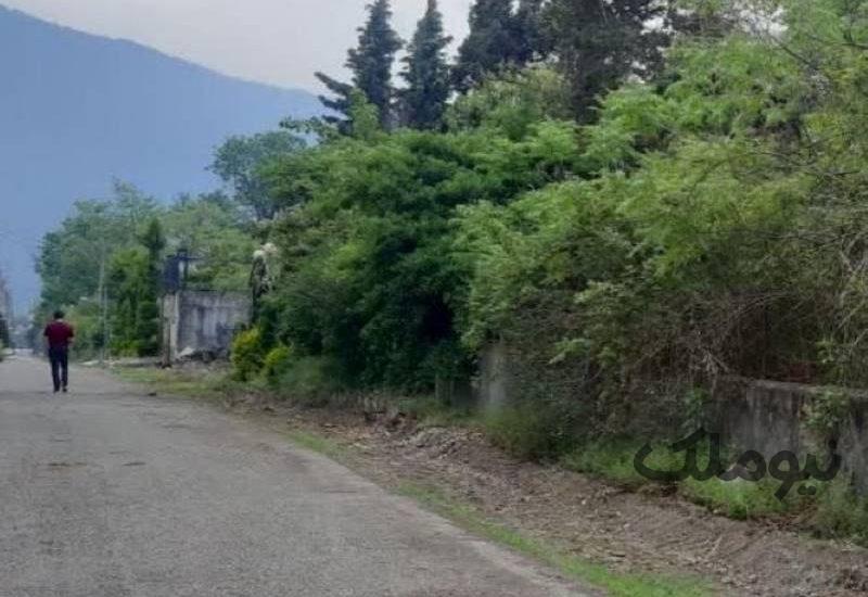 زمین 1000 متری در نمک آبرود شهرک ساحلی سهند| زمین و باغ| چالوس، نمک آبرود| نیوملک