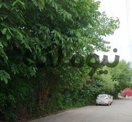 زمین بلندمرتبه سازی 680 متر در رادیودریا چالوس| زمین و باغ| چالوس، رادیودریا| نیوملک
