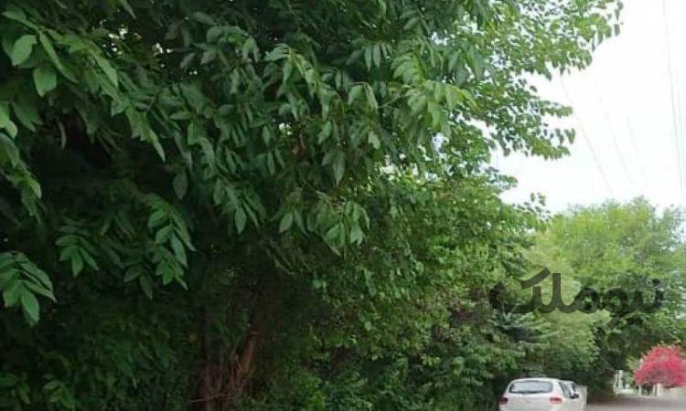 زمین بلندمرتبه سازی 680 متر در رادیودریا چالوس| زمین و باغ| چالوس، رادیودریا| نیوملک