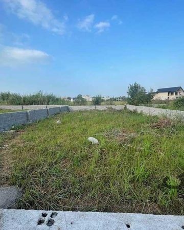 زمین 230 متر سند دار در کوچه سحر امامرود| زمین و باغ| چالوس، امامرود| نیوملک