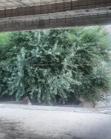 پیش فروش آپارتمان 115 و 135 متری طبقه 2 در چالوس