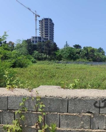 زمین اوکازیون ساحلی پلاک اول دریا جنب ساحل امیردشت| زمین ساحلی| کلارآباد| نیوملک