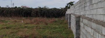 زمین الحاق به بافت ارزان| زمین و باغ| چالوس| نیوملک