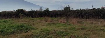 زمین الحاق به بافت ارزان| زمین و باغ| چالوس| نیوملک