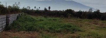 زمین الحاق به بافت ارزان| زمین و باغ| چالوس| نیوملک